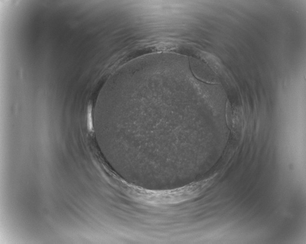 X0000071860046200607072339