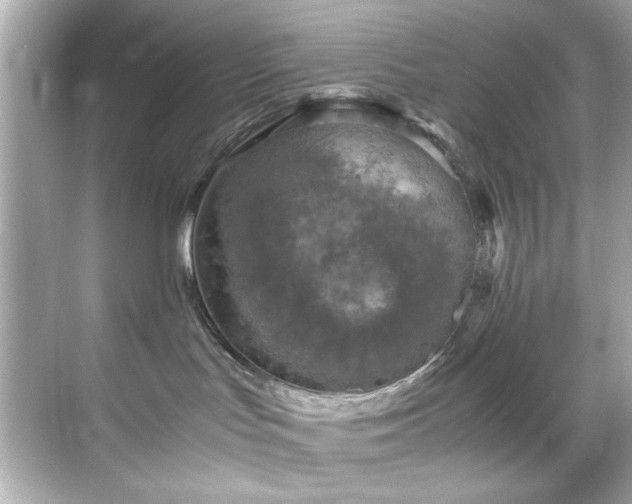 X0000071860047200607072339