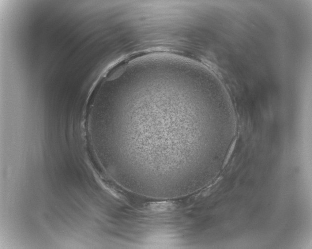 X0000071860050200607072338