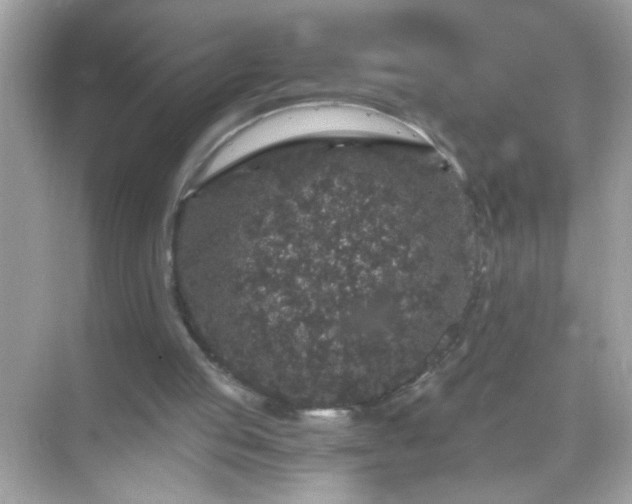 X0000071860053200607072338