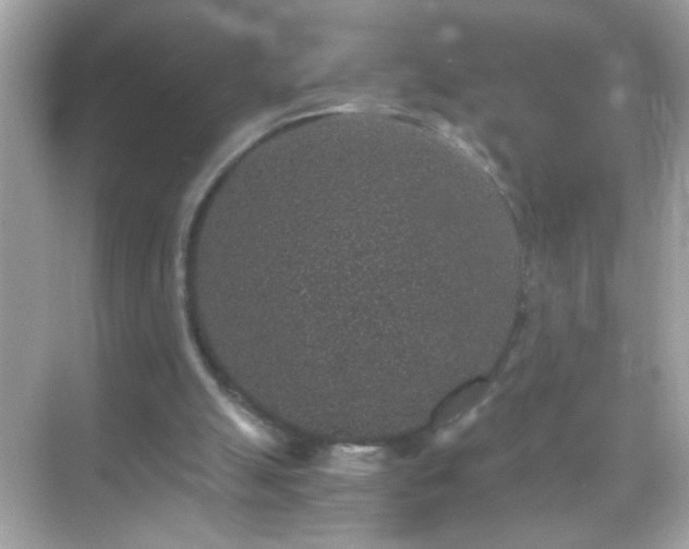 X0000071860055200607072338