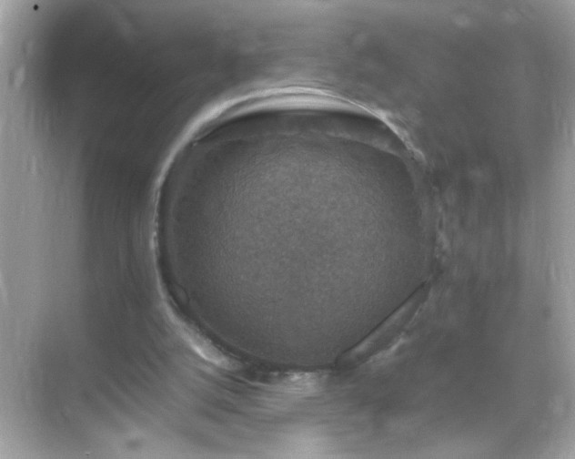 X0000071860056200607072338