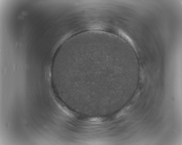 X0000071860059200607072338