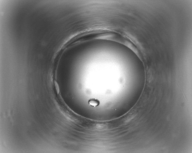 X0000071860060200607072338