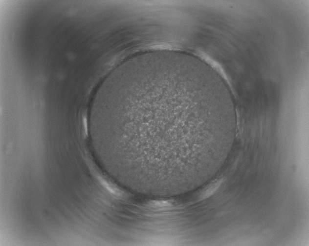 X0000071860061200607072338