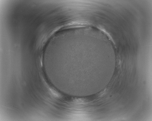 X0000071860062200607072338