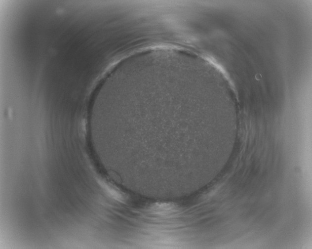 X0000071860063200607072338