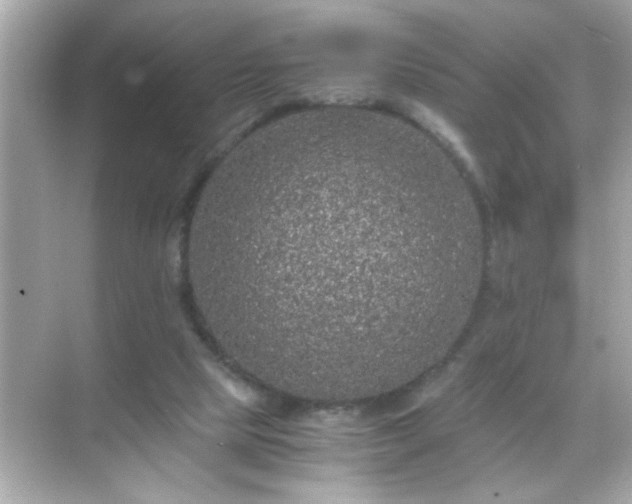 X0000071860065200607072338