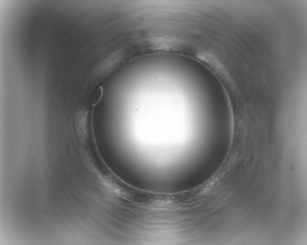 X0000071860066200607072338