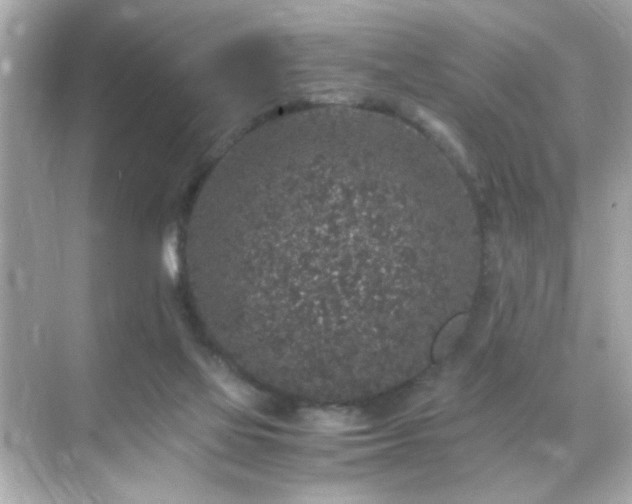 X0000071860069200607072338