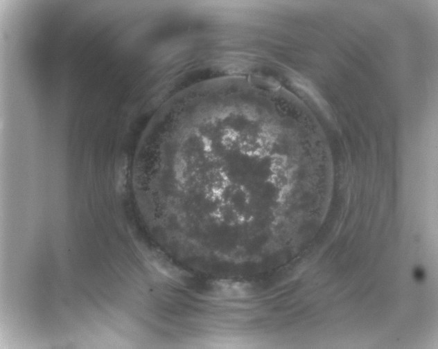 X0000071860073200607072338