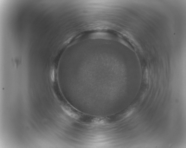 X0000071860076200607072338