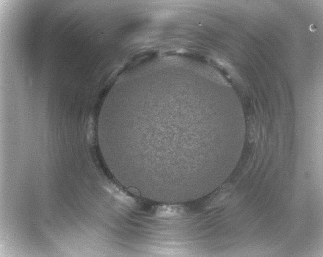 X0000071860077200607072338