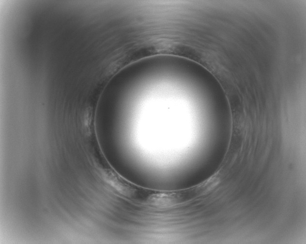 X0000071860082200607072338