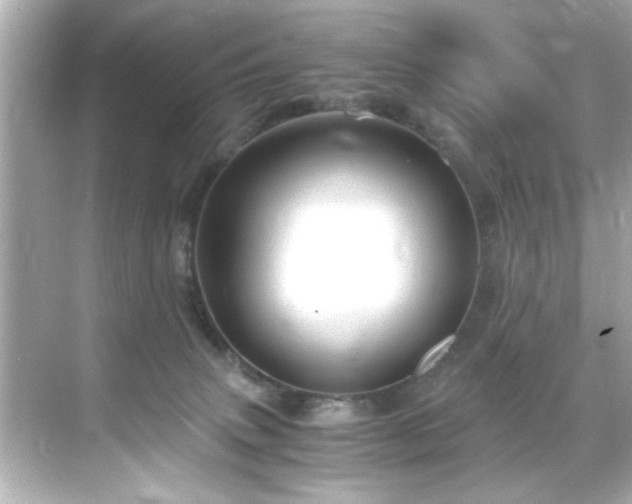 X0000071860083200607072338