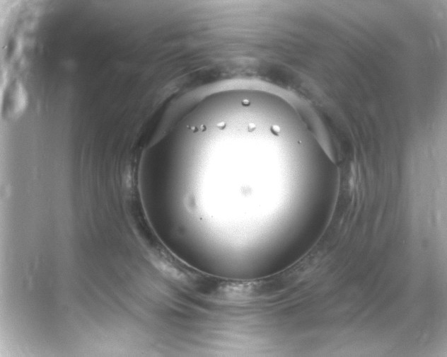 X0000071860084200607072338