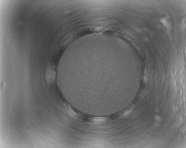 X0000071860085200607072338