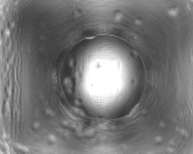 X0000071860086200607072338