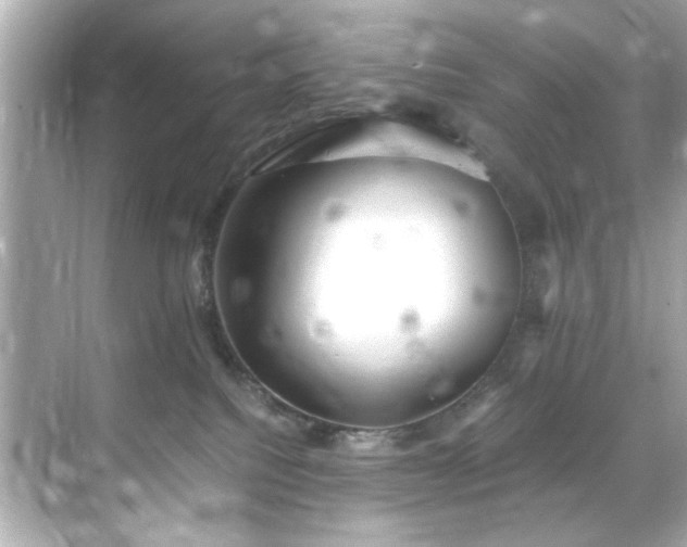 X0000071860088200607072338