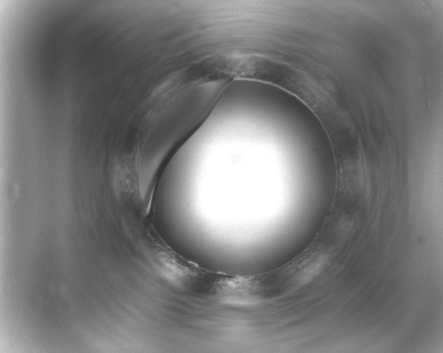 X0000071860092200607072338