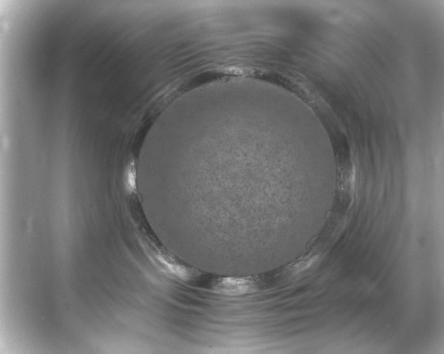 X0000071860095200607072339