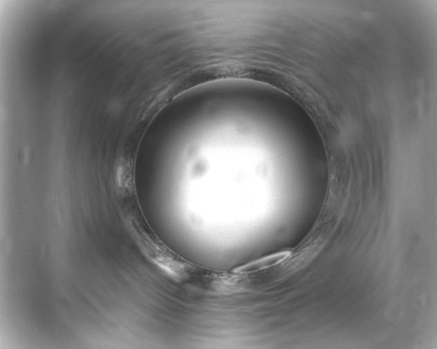 X0000071860096200607072339