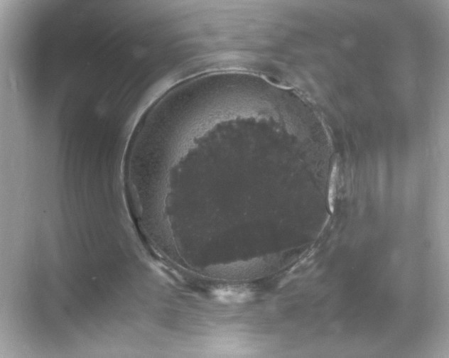 X0000071860099200607072338