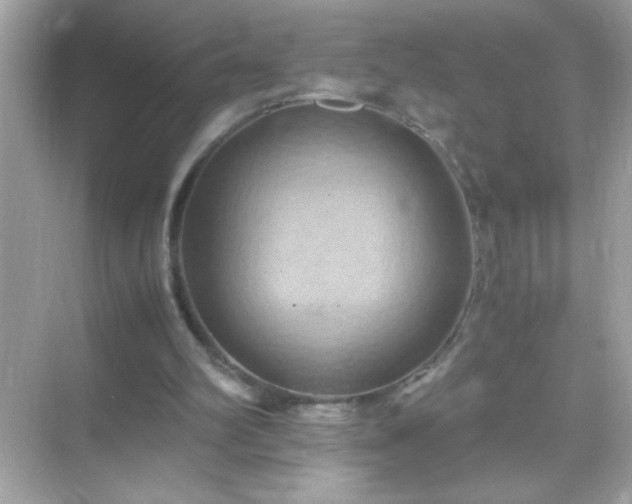 X0000071860102200607072338