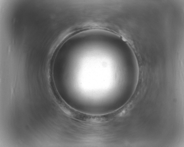 X0000071860103200607072338