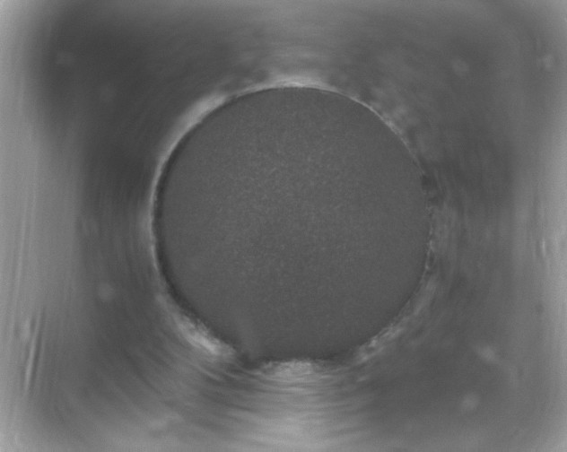 X0000071860104200607072338