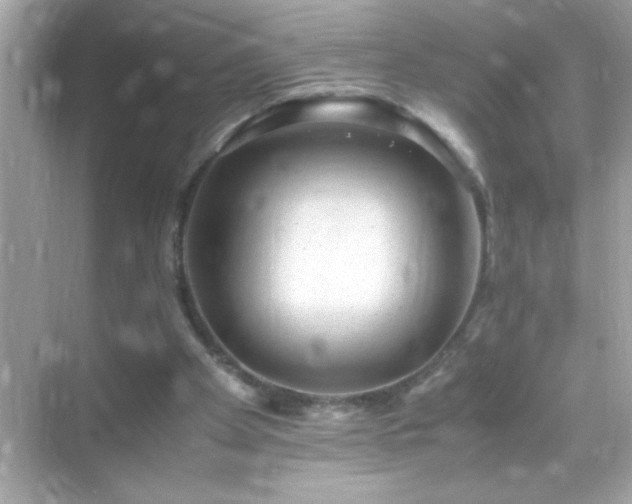 X0000071860105200607072338