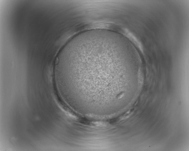 X0000071860107200607072338