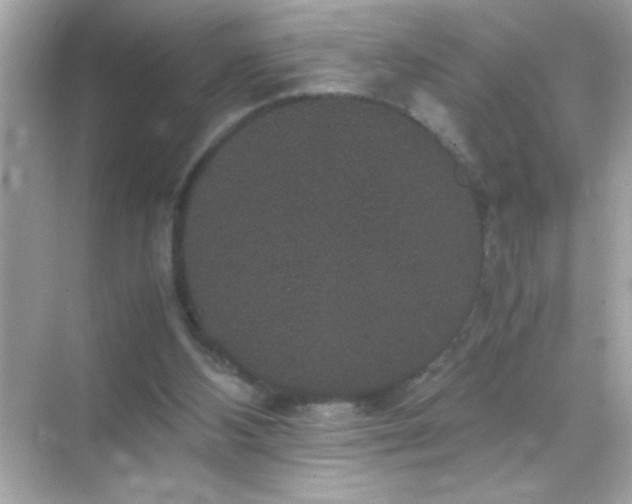 X0000071860108200607072338