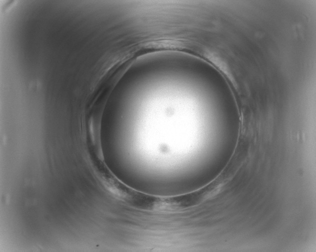 X0000071860109200607072338