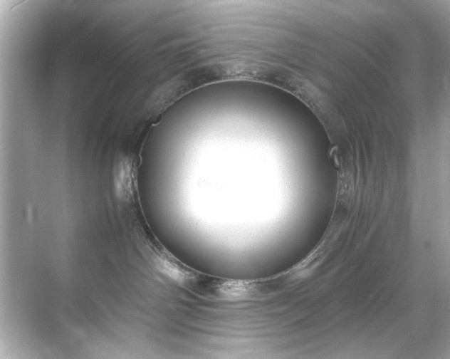 X0000071860142200607072337