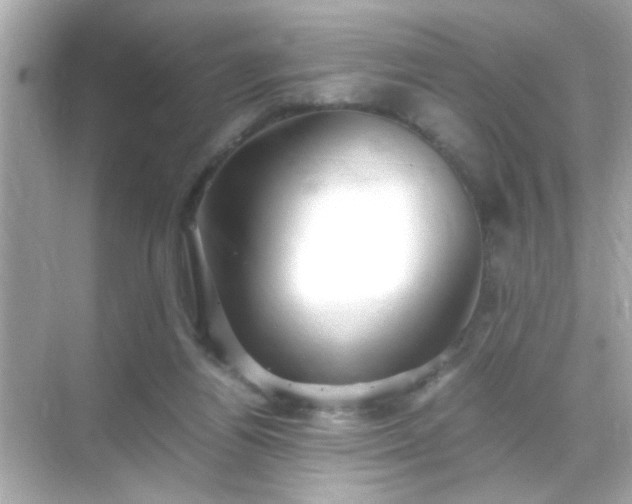 X0000071860164200607072336