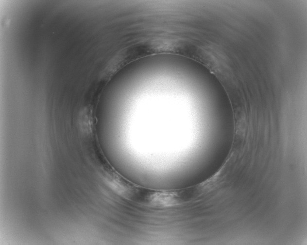 X0000071860179200607072337