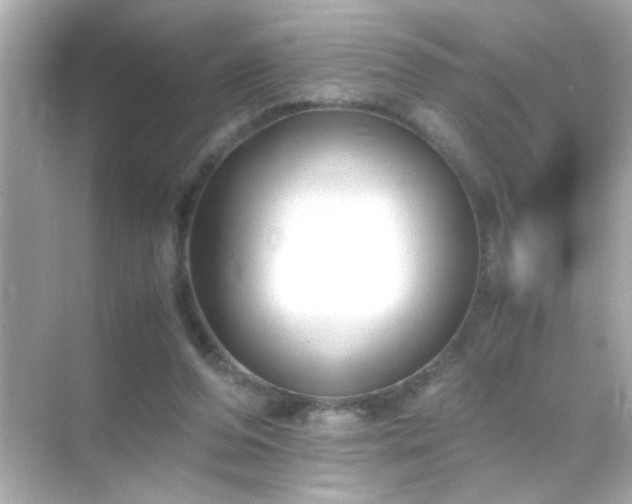 X0000071860208200607072336