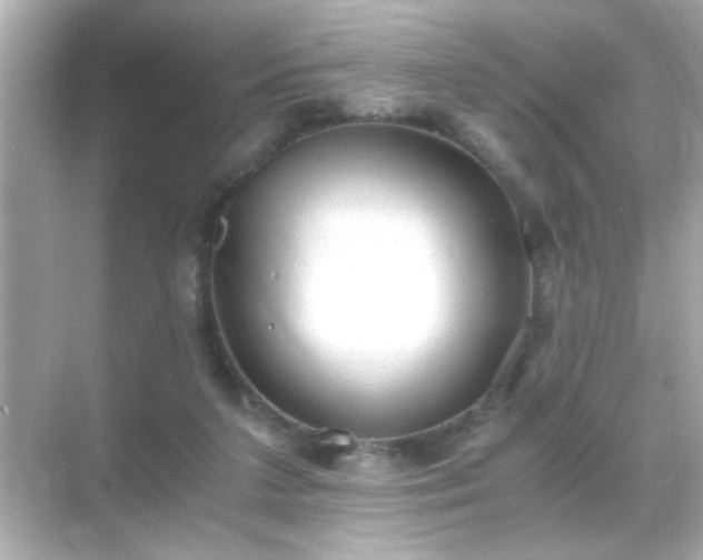 X0000071860211200607072336