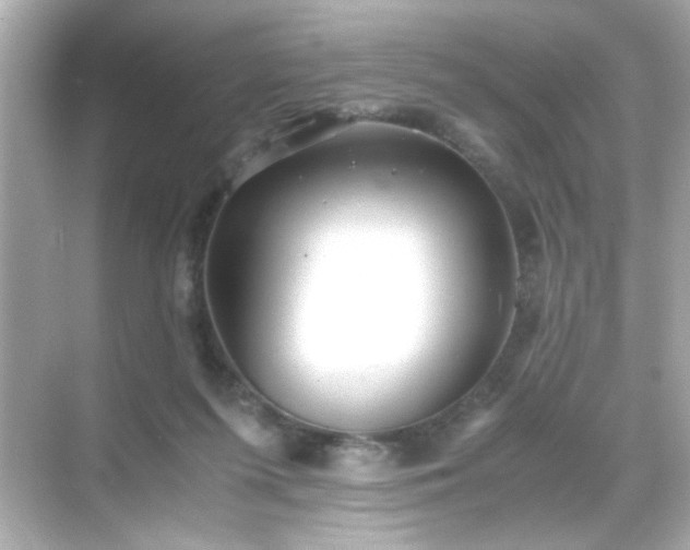 X0000071860215200607072336