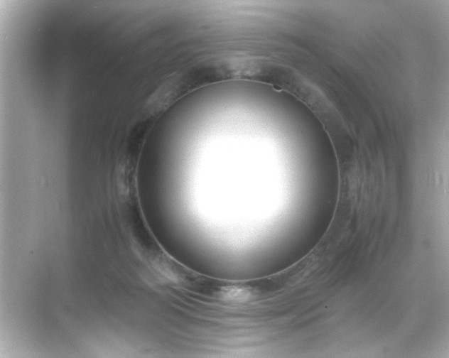 X0000071860218200607072336