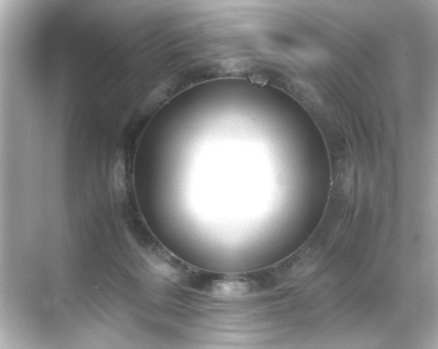 X0000071860220200607072336