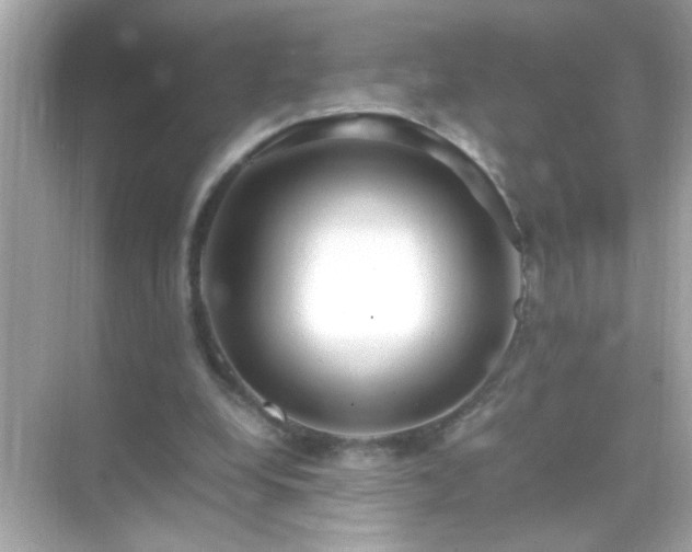 X0000071860248200607072335