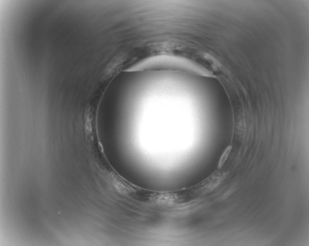 X0000071860282200607072335