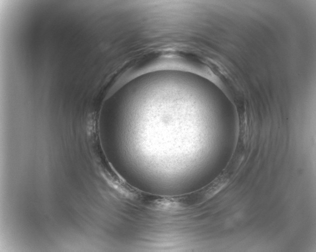 X0000071860284200607072335