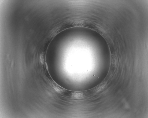 X0000071860287200607072335