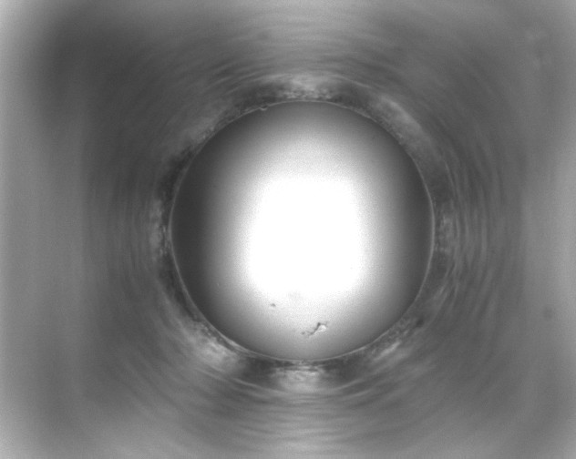 X0000071860318200607072334