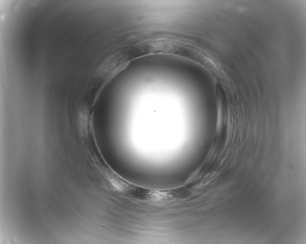 X0000071860333200607072334
