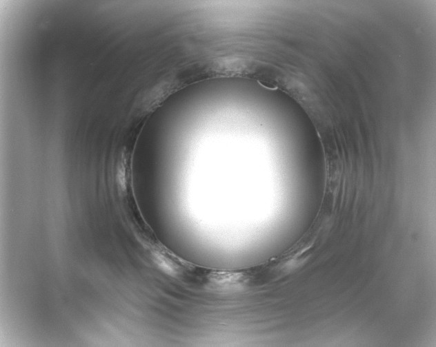 X0000071860334200607072334