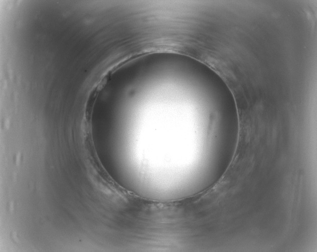 X0000071860338200607072333
